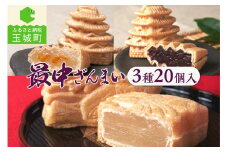最中ざんまいB(最中三種 詰合せ) 3種20個入