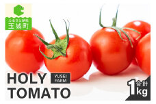 HOLY TOMATO