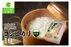 令和6年三重県産コシヒカリ 10kg(農家直送)