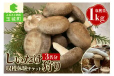 きのこ狩り　(収穫体験チケット3名分)収穫量1kg
