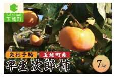 【先行予約】玉城町産 早生次郎柿 約7kg 2025年10月中旬～11月中旬発送 数量限定(クレジット申込限定)