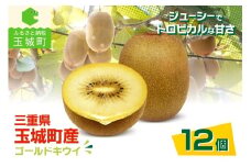 三重県玉城町産ゴールドキウイ