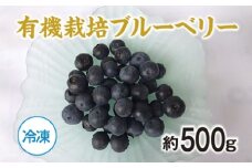 （冷凍）有機栽培　ブルーベリー　約５００g／きみちゃんファーム　果実　フルーツ　果物　国産　三重県　度会町