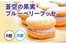 （冷蔵）蒼空の果実　ブルーベリーブッセ／西金商店　スイーツ　濃厚　果肉　マイルドリッチ　三重県　度会町