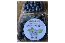 （冷凍） 三重県度会町産の有機栽培 自然の恵みを受け甘く育った ブルーベリー ５００ｇ ／ 貴の園 フルーツ 果物 国産 三重県 度会町
