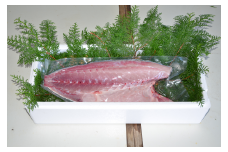 （冷蔵） 錦産 養殖 ブリ フィレ 半身 ／ 魚々錦 ふるさと納税 大紀ブランド 魚 鰤 海鮮 海産 お取り寄せグルメ 三重県 大紀町