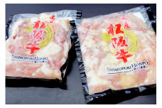 松阪牛　ホルモン　300g×2P　B-7／冷凍　瀬古食品　ふるさと納税　牛肉　松阪肉　名産　ブランド　霜ふり本舗　三重県　大紀町