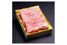 松阪牛　シルク　ロース　しゃぶしゃぶ　500g　B-48／冷凍　瀬古食品　ふるさと納税　牛肉　松阪肉　名産　ブランド　霜ふり本舗　三重県　大紀町