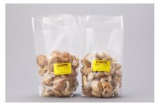 原木　生椎茸　1.2kg／キノコランド　ふるさと納税　大紀ブランド　お取り寄せグルメ　キノコ　きのこ　三重県　大紀町