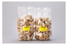 原木　生椎茸　2kg／キノコランド　ふるさと納税　大紀ブランド　お取り寄せグルメ　キノコ　きのこ　三重県　大紀町