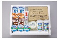 （冷蔵） 大内山ミルク村 おすすめ Ｂ ／ ふるさと納税 プリン ヨーグルト 牛乳 乳飲料 バター 大紀ブランド 三重県 大紀町