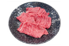 （冷凍）松阪牛 うす切り焼肉 （赤身） 500g b-109 ／ 瀬古食品 ふるさと納税 牛肉 松阪肉 名産 ブランド 霜ふり本舗 三重県 大紀町