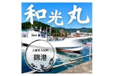 和光丸 遊漁船乗船券 乗り合い 1回分 イカメタル・バチコン （半夜便） ／ チケット 釣り フィッシング アウトドア 個室トイレ 集魚灯 海水巡回パイプ ロッドフォルダー 電気ケトル 三重県 大紀町