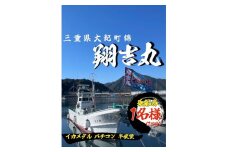 翔吉丸 遊漁船乗船券 乗り合い 1回分 イカメタル・バチコン （半夜便） ／ チケット 釣り フィッシング アウトドア 水洗トイレ 生簀 魚群探知機 探知丸 ロッドフォルダー 三重県 大紀町