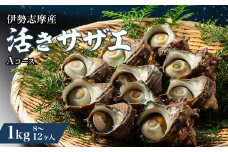 サザエ 1kg  8ヶ～12ヶ 冷蔵 新鮮 海鮮 海産物 魚介 魚貝 活きサザエ 栄螺 貝 刺身 刺し身 お造り つぼ焼き 壺焼き グリル BBQ バーベキュー キャンプ 夏 ギフト 贈り物 三重 伊勢 志摩 南伊勢町 活きサザエAコース