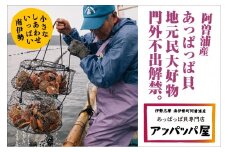 【冷凍】アッパッパ貝　（3個入り）3袋／貝　ヒオウギ　あっぱっぱ　海鮮　海の幸　南伊勢町　伊勢志摩