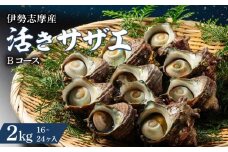 サザエ 2kg 16～24ヶ 冷蔵 新鮮 海鮮 海産物 魚介 魚貝 活きサザエ 栄螺 貝 刺身 刺し身 お造り つぼ焼き 壺焼き グリル BBQ バーベキュー キャンプ 夏 ギフト 贈り物 三重 伊勢 志摩 南伊勢町 山金商店 活きサザエBコース