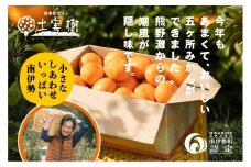 みかん 五ヶ所みかん 1箱 3kg 甘くておいしい ミカン 蜜柑 柑橘 果物 フルーツ 甘い 甘味 mikan 三重県 南伊勢町 伊勢志摩産