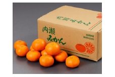 【先行予約】 内瀬みかん 約5kg ／ ミカン 蜜柑 柑橘 箱 フルーツ 果物 くだもの 三重県 南伊勢町 伊勢志摩産