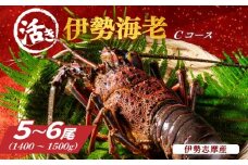 活き 伊勢海老 Cコース 5～6尾（約1400～1500g） 山金商店 地物 伊勢 伊勢えび 高級 鮮魚 焼き物 汁物 海鮮 特産 海の幸 魚介 イセエビ 海老 えび 三重県 南伊勢町 伊勢志摩産 伊勢志摩