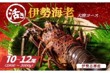 地物 活き 伊勢海老 大漁 コース 10～12尾 約2800～3000g 山金商店 伊勢えび エビ 高級 グルメ 焼き物 汁物 海鮮 特産 海の幸 魚介 海老 伊勢志摩