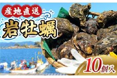【冷蔵】牡蠣 岩ガキ 10ケ入 約3kg以上 カキ 岩牡蠣 いわがき 殻付き牡蠣 岩牡蠣セット 国産 海鮮 魚介類 貝 水産 冷蔵 フライ グラタン おかず 炊き込み ご飯 BBQ ギフト お中元 伊勢 志摩 三重県 南伊勢 25000円 25000円以下 二万五千円