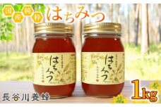 国産 はちみつ 長谷川養蜂 の 百花蜜 500g × 2本 セット 非加熱 ハチミツ 国産蜂蜜 国産はちみつ 国産純粋はちみつ 蜜 蜂蜜 はちみつ ハニー honey 人気ハチミツ 純粋はちみつ 常温 保存 備蓄 防災食 非常食 保存食 蜜 ヨーグルト 産地直送 三重県 伊勢 志摩 南伊勢町