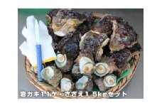 【冷蔵】岩ガキ・さざえ　約７kg～約７.5kg 豪華セット／貝　牡蠣　かき　バーベキュー　伊勢志摩産