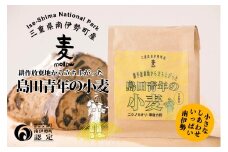 島田青年の小麦粉　約400g　自家製粉／小麦　準強力粉　ニシノカオリ　三重県　南伊勢町　伊勢志摩産