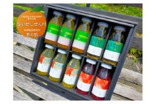 手作り ジュース みかん セミノール 梅 しそ 4種 10本 各 170ml ないぜしぜん村 みかんジュース 蜜柑ジュース 紫蘇ジュース 紫蘇 梅ジュース 小梅 飲料 ミカン 蜜柑 青みかん 温州みかん 産地直送 国産 三重 南伊勢
