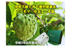 【予約注文/2025年11月より発送】 アテモヤ 中玉３～４個 約1.2kg 果物 くだもの フルーツ  期間限定 季節限定 森の アイスクリーム デザート ギフト プレゼント 贈り物 贈答 贈答用 三重県 伊勢 志摩 南伊勢町