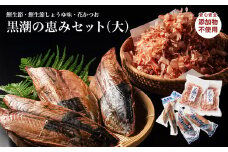黒潮の恵みセット（大）鰹節　カツオ　かつお　鰹　生節　花かつお　南伊勢町　伊勢志摩産