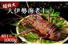 大伊勢海老（超特大 801～1000g）１尾　山庄水産／伊勢えび　三重県　南伊勢　ブランド　伊勢志摩