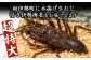 この箱に入れて発送します