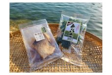 （冷蔵） 鯛めし あおさ セット A 各 1袋 城水産 鯛 真鯛 たい まだい tai 新物 あおさ海苔 海苔 のり 海藻 海草 香り 味噌汁 みそ汁 天ぷら 魚 魚介 海鮮 海産物 海 お手軽 産地直送 国産 三重 南伊勢 伊勢志摩