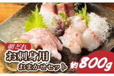 お刺身 国産 おまかせ セット 2～3種 約800ｇ 盛り合わせ 刺身 刺し身 刺身用 冷蔵 晩酌  鯛 タイ 鰤 ブリ 鮪 マグロ 平昌 ヒラマサ 勘八 カンパチ シマアジ ヒラメ 新鮮 魚 魚介 海鮮 産地直送 朝どれ 海鮮丼  城水産 三重県 南伊勢町 伊勢 志摩