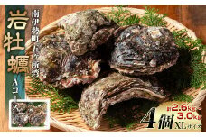 （冷蔵） 岩牡蠣 かき XL サイズ 4個 加熱用 濃厚 新鮮 シェルファームみつなが Aコース セル牡蠣 生牡蠣 養殖 牡蠣 カキ kaki 鍋 牡蠣鍋 カキフライ 牡蠣フライ BBQ キャンプ おいしい 伊勢志摩 三重 南伊勢町