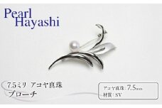 真珠 ブローチ 7.5mm SV シルバー アコヤ真珠 伊勢 志摩 アクセサリー ファッション ジュエリー akoya パール フォーマル カジュアル プレゼント ギフト 贈り物 贈答品 お祝い 誕生日 記念日 冠婚葬祭 慶事 弔事 結婚式 卒業式 入学式 国産 三重県 南伊勢町 / パールハヤシ SV アコヤ真珠 7.5ミリ ブローチ （No30888）