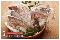 真鯛 タイ お刺身 約1kg～1.2kg 3枚おろし 冷蔵 皮あり 新鮮 鮮魚 鯛 たい 刺身 しゃぶしゃぶ 鯛しゃぶ 鍋 鯛めし 鯛茶漬け 炙り 塩焼き 煮付け ブランド 三重県 南伊勢町 伊勢 志摩 驚く甘さ！ジューシーなブランド真鯛 はさま あなたに逢い鯛。
