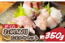 お刺身 おまかせ セット 2～3種 約350ｇ 盛り合わせ 冷蔵 朝どれ 刺身 刺し身 タイ 鯛 鰤 ブリ 鮪 マグロ 平昌 ヒラマサ 勘八 カンパチ シマアジ ヒラメ 新鮮 魚 魚介 海鮮 海産物 国産 三重県 南伊勢 伊勢 志摩 城水産 9000円 9千円