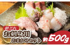 刺身 おまかせ セット ２ ～ ３種 約 500ｇ お刺身 刺し身 鯛 タイ 鰤 ブリ 鮪 マグロ 平昌 ヒラマサ 勘八 カンパチ シマアジ ヒラメ 新鮮 魚介 海鮮 冷蔵 旬 旬の刺身 小分け 海 産地直送  国産 お楽しみ 朝どれ 三重 南伊勢 伊勢 志摩 城水産