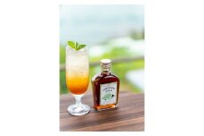 クラフトコーラ イセカルダモンコーラ 200ml コーラ レモン ジュース シロップ スパイス 柑橘 くだもの 果物 炭酸 飲料 飲み物 贈答 ギフト 国産 三重県 伊勢志摩 南伊勢町  7000円 