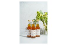 クラフトコーラ イセカルダモンコーラ 250ml ×3本 コーラ レモン ジュース シロップ スパイス 柑橘 くだもの 果物 炭酸 飲料 飲み物 贈答 ギフト 国産 三重県 伊勢志摩 南伊勢町 9000円 
