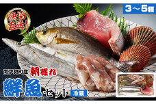 鮮魚 セット 3～5種 おまかせ カツオ ブリ まぐろ アジ サバ イワシ タイ 貝類 ひもの お刺身用柵 ブロック 刺身 お刺身 刺し身 お刺し身 海鮮 海の幸 魚 魚介 朝どれ 新鮮 詰合せ おいしい とれたて 旬 三重外湾漁業組合 三重県 伊勢志摩