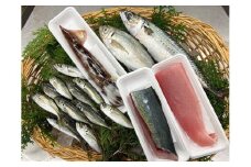 （冷蔵）漁協直送！　南伊勢町産　6～8種　朝獲れ鮮魚セット／三重外湾漁業協同組合　お刺身　新鮮　詰合せ　おいしい　とれたて　旬　三重県　伊勢志摩