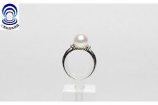 三重ブランド　アコヤ真珠　8.0ミリ～8.5ミリ　メレー付きPtリング／パール　アクセサリー　南伊勢町　伊勢志摩