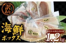 【冷凍】訳あり 海鮮 ボックス 1.2kg セット 冷凍 真空パック おまかせ マグロ まぐろ 鮪 生まぐろ 鯛 たい かんぱち 勘八 シマアジ ヒラマサ 平昌 新鮮 魚 魚介 海鮮 海産物 海 特産品 海の幸 産地直送 国産 三重県 南伊勢 伊勢 志摩 城水産 10000円 一万円