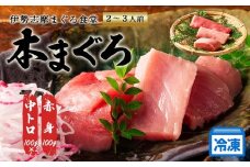 本まぐろ 赤身 中トロ 計300g 詰合せ2～3人前 伊勢志摩まぐろ食堂 ／本マグロ 本鮪 専門店 食べ比べ マグロ 鮪 刺身 刺し身お刺身 三重県 伊勢志摩  南伊勢町 13000円 1万円台 2万円以下 1万3千円 一万三千円