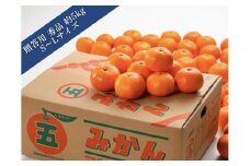 マルゴみかん（温州みかん） 秀品 約5ｋｇ （S～Lサイズ） JA伊勢 ／ 贈答用 ギフト 送料無料 産地直送 フルーツ 果物 ミカン 先行予約 三重県 南伊勢町