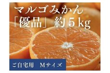 マルゴみかん（温州みかん） 優品 約5ｋｇ （Mサイズ） JA伊勢 ／ 家庭用 送料無料 産地直送 フルーツ 果物 ミカン 先行予約 三重県 南伊勢町